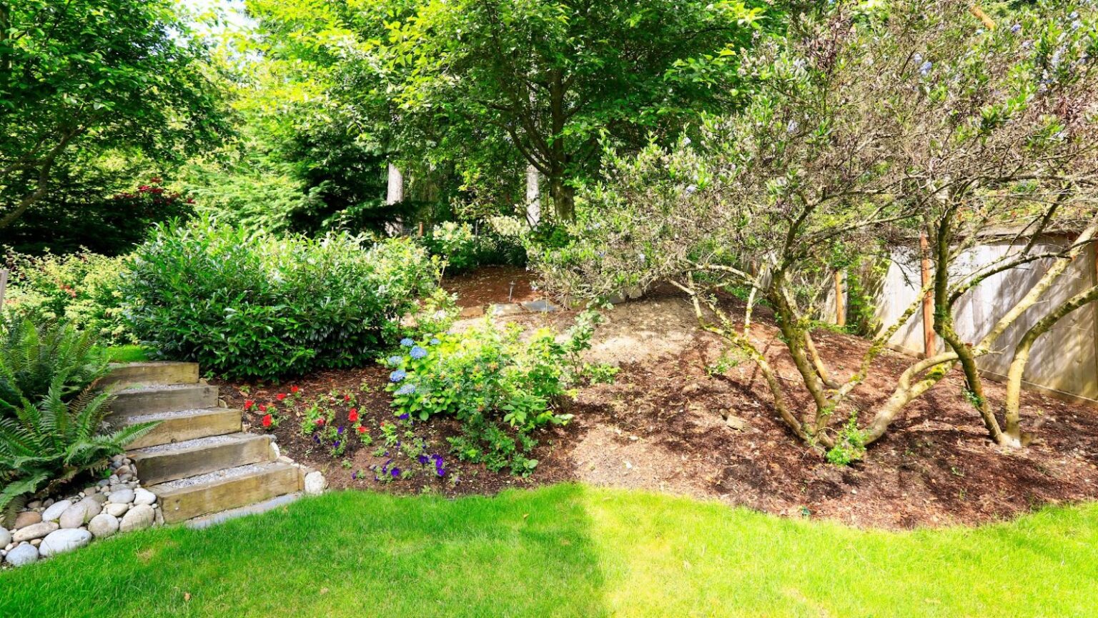 Most Useful Backyard Privacy Landscaping Ideas The HomeTrotters