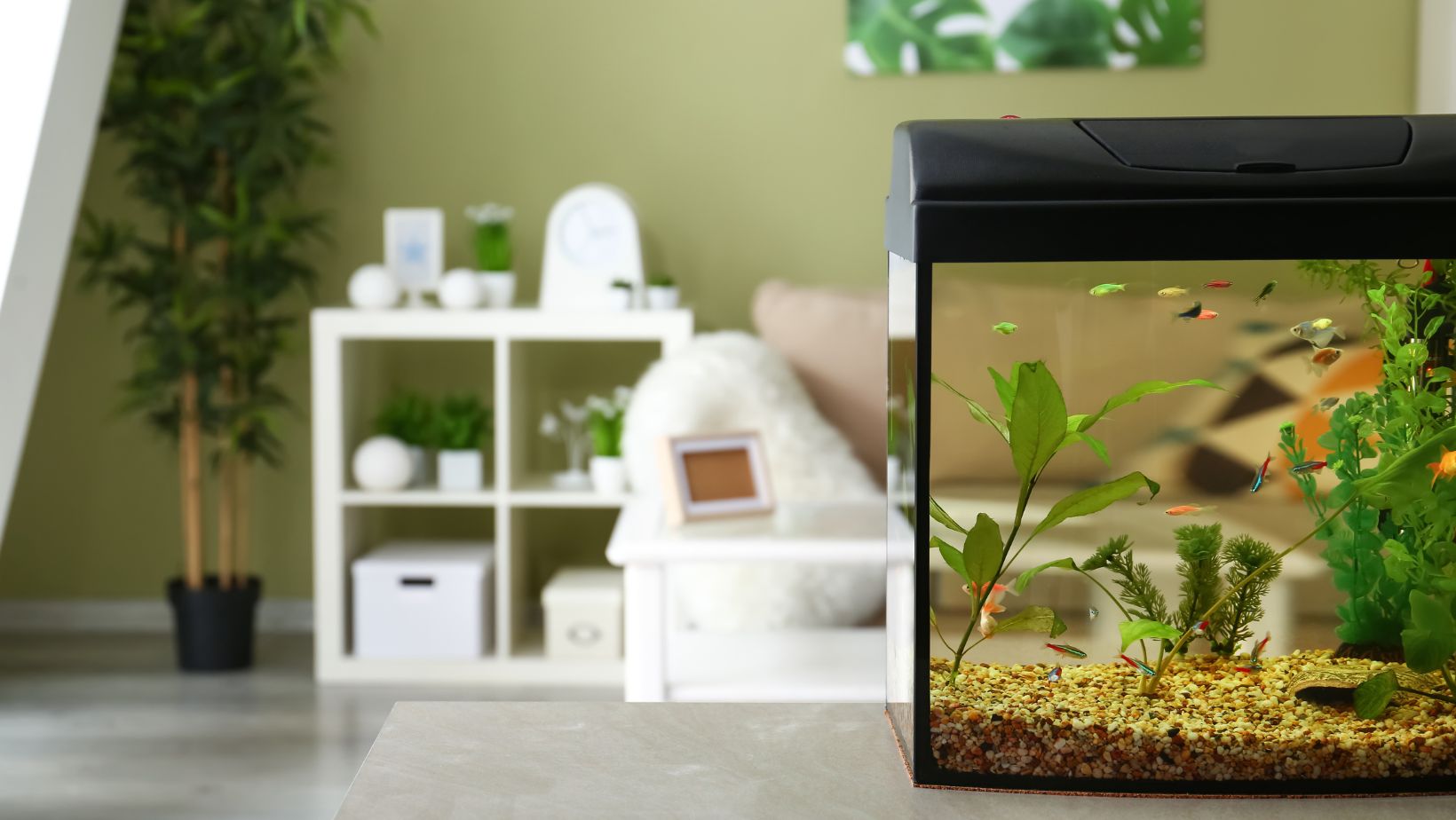 Home Aquarium Maintenance 101 Keeping Your Fish Happy And Healthy   Image2 10 