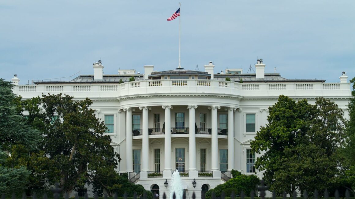 Image1