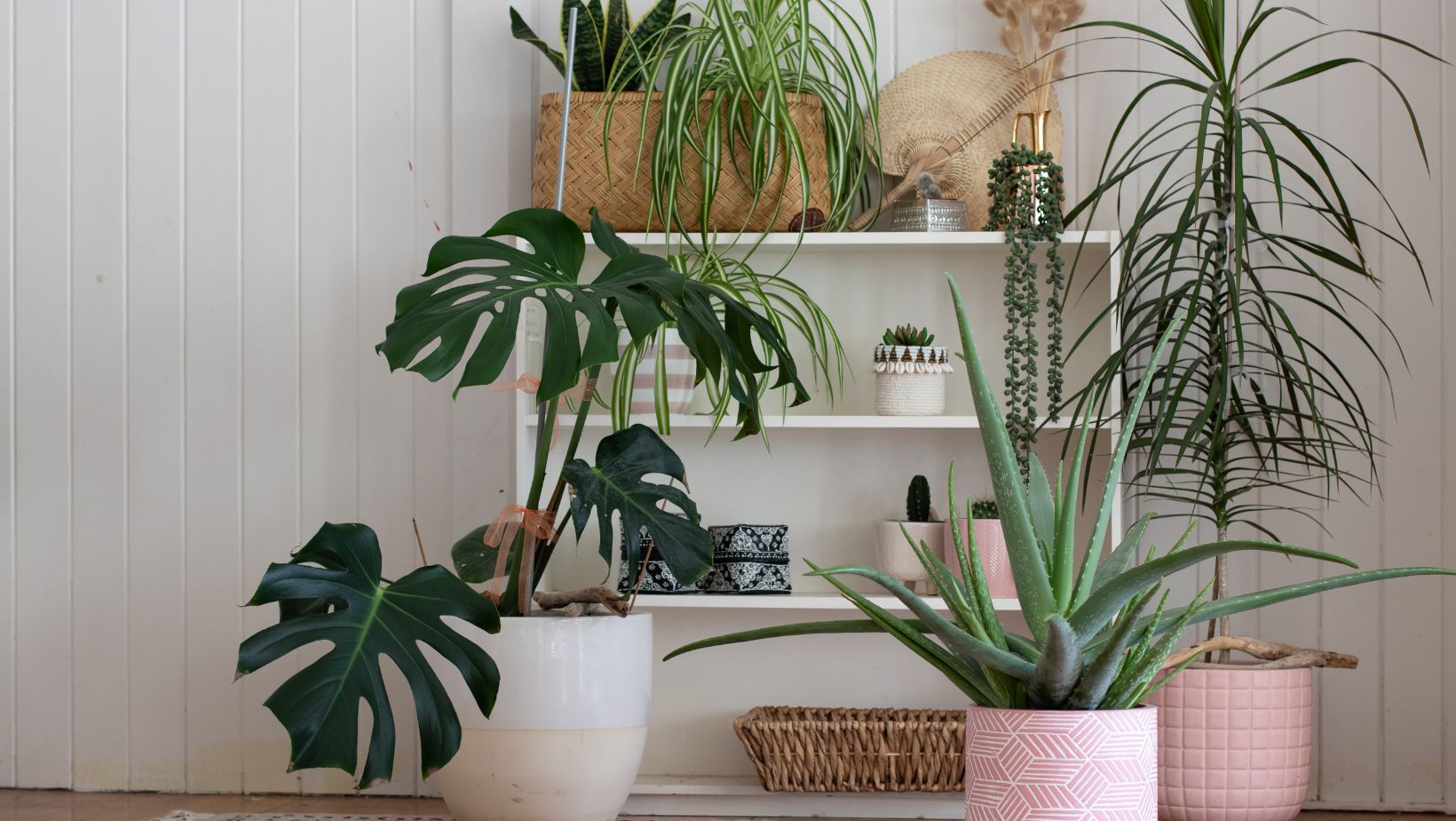 Genius Arrangement Ideas to Showcase Indoor Plants The HomeTrotters