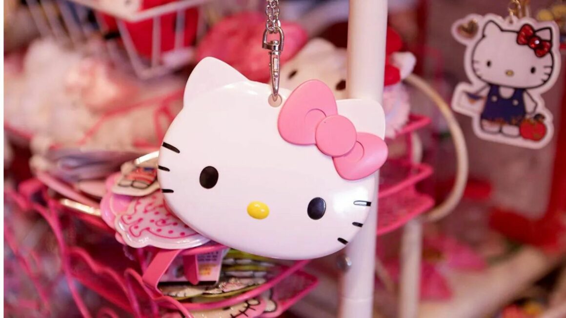 the hello kitty case photos orange pus
