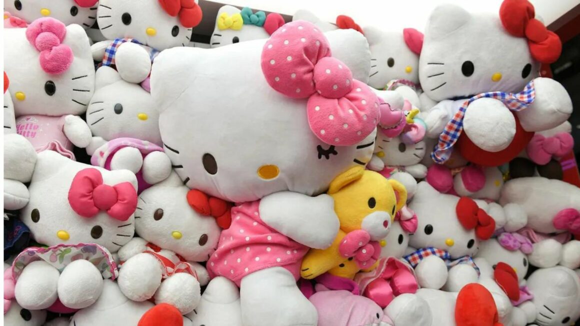 the hello kitty case photos orange pus
