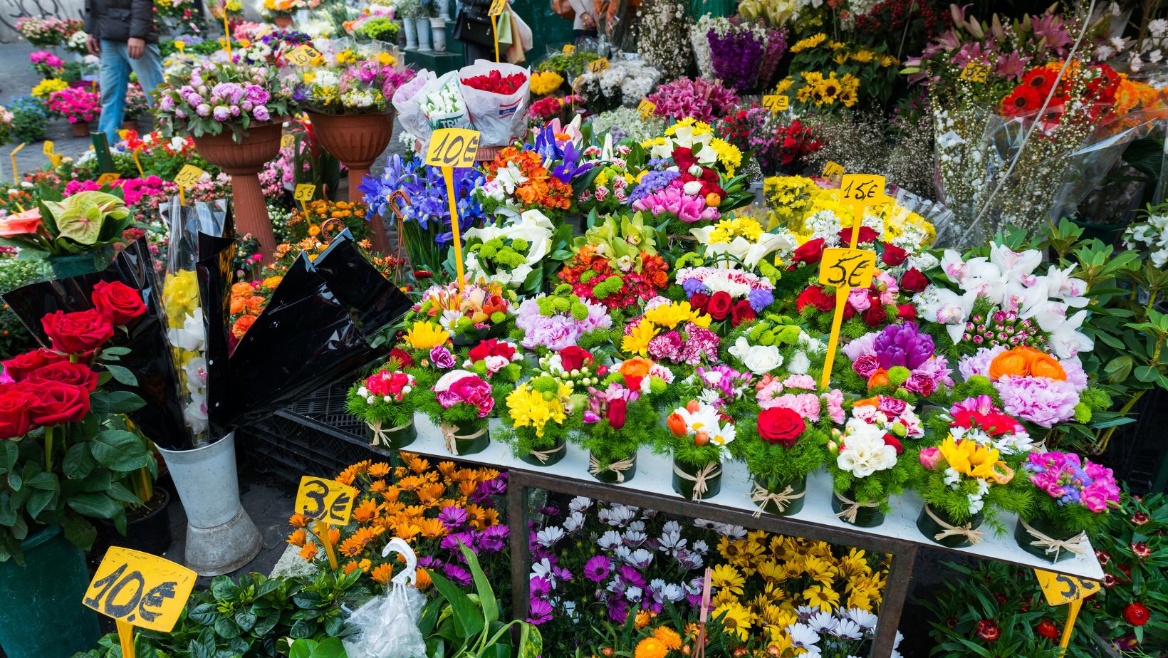 Tips for Ordering Wholesale Flowers Online The HomeTrotters