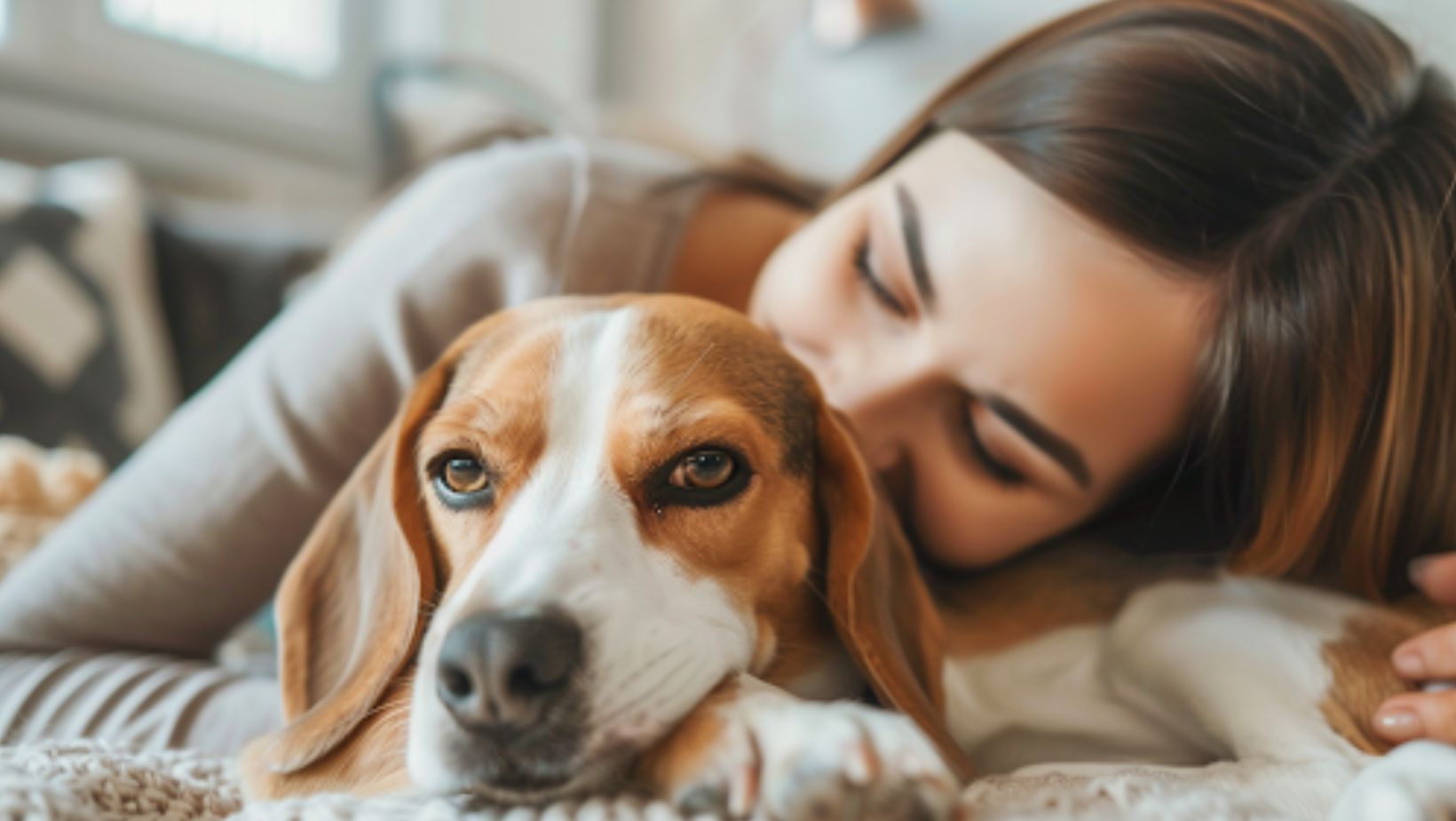 A pet owners guide to air purifiers