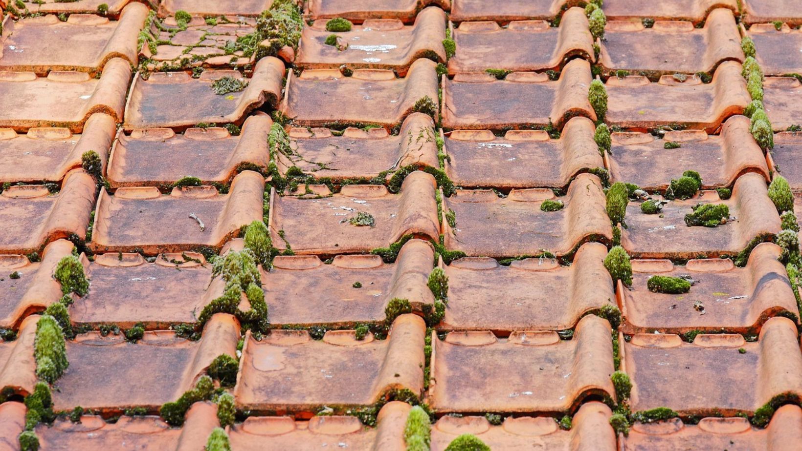 Why roof health is key to boosting home value