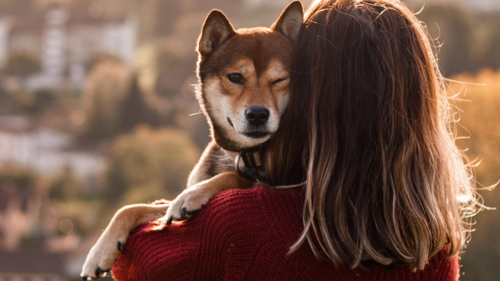 The psychological benefits of creating an esa inclusive home environment