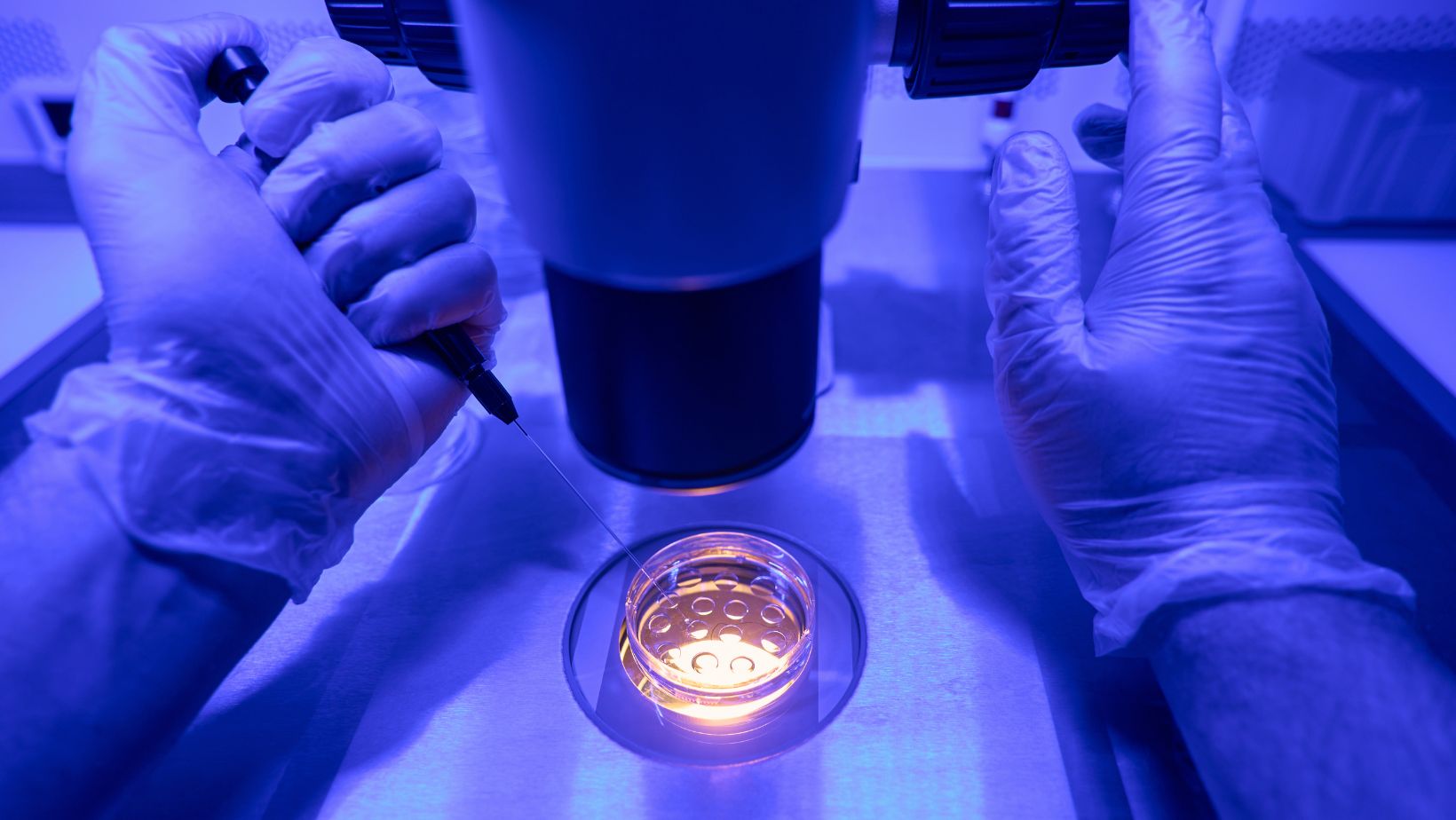 Why i decided to learn about embryo donation personal insights facts
