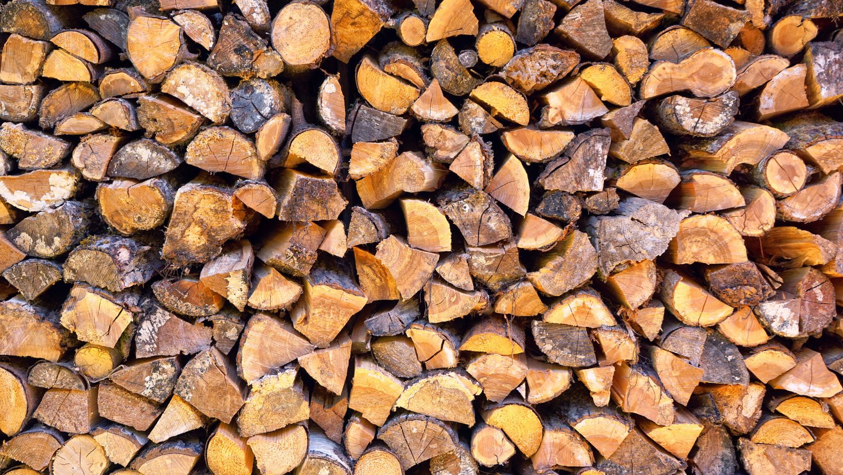 %f0%9f%94%a5 from humble beginnings to national recognition how great burn firewood became a leader in kiln dried firewood