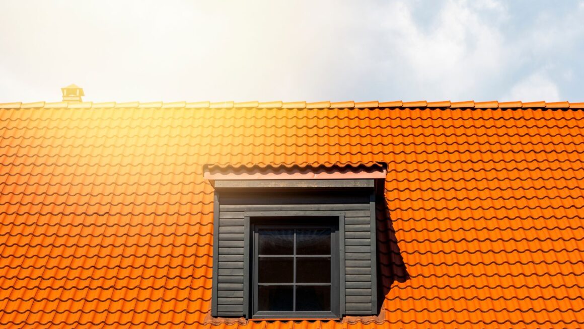 Image1