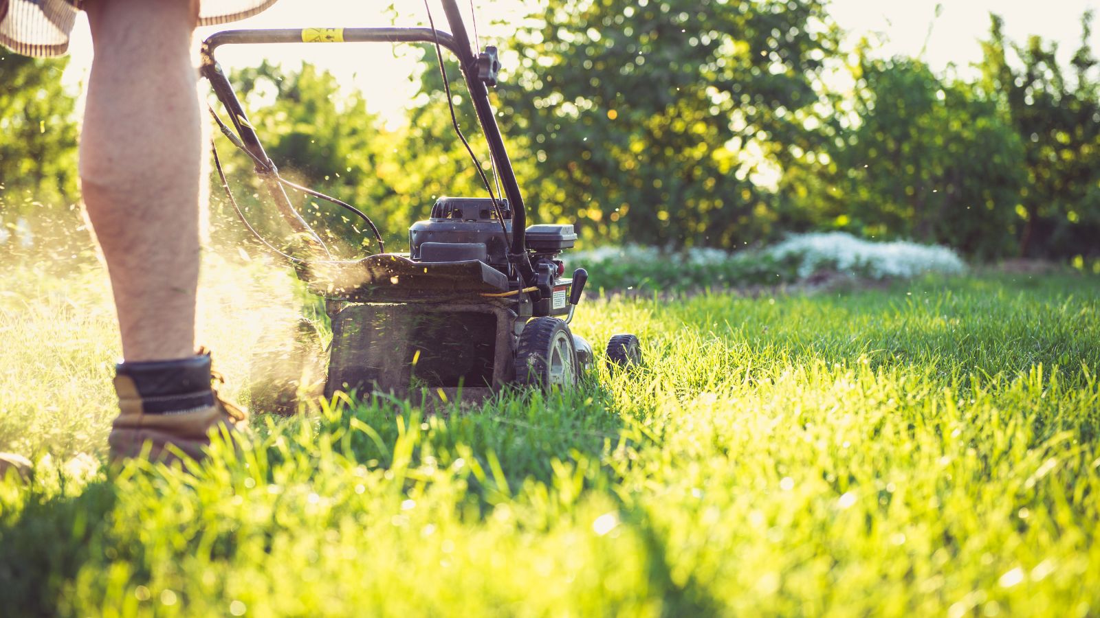 What are the different types of lawn sweepers and which one is right for you