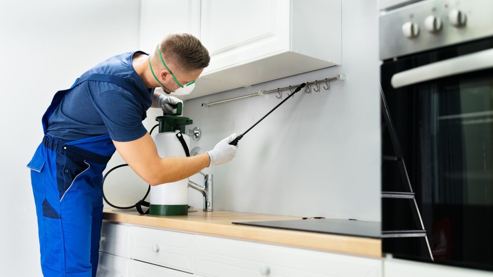 Smarter, Greener Pest Control: 7 Modern Strategies for Arlington Homes ...