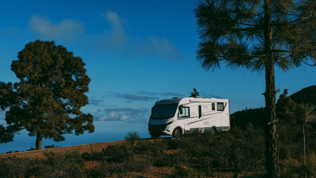 Camper van parked between pine trees.