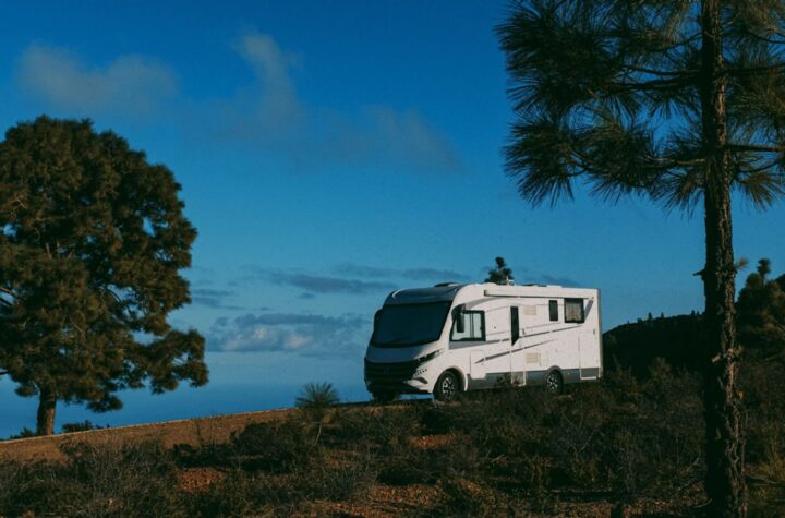 Camper van parked between pine trees.