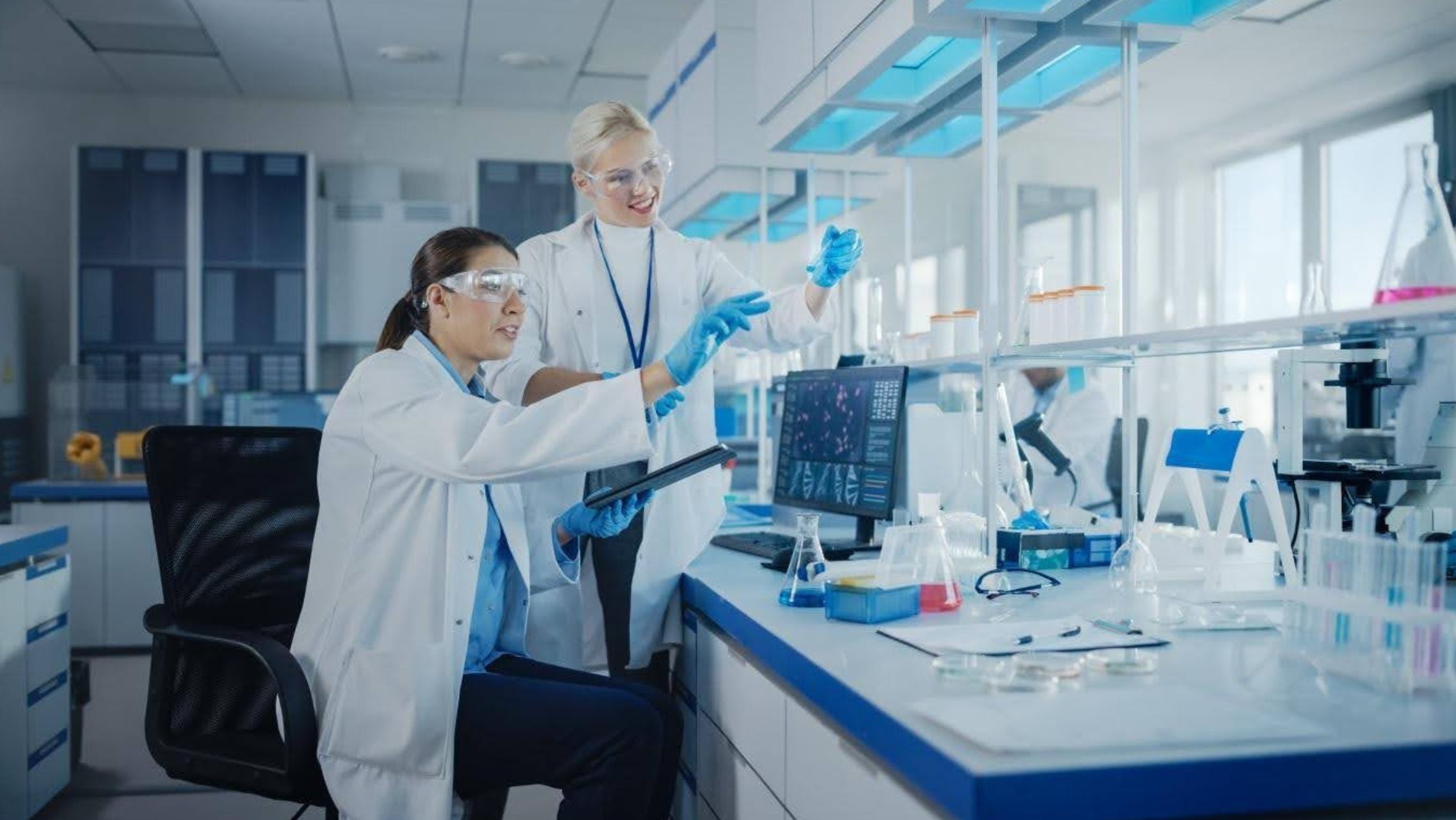 What is rock inhibitor thiazovivin why is it important