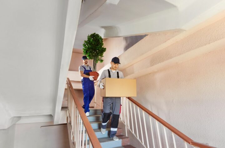 Mover helper job complete guide to starting your career in moving services