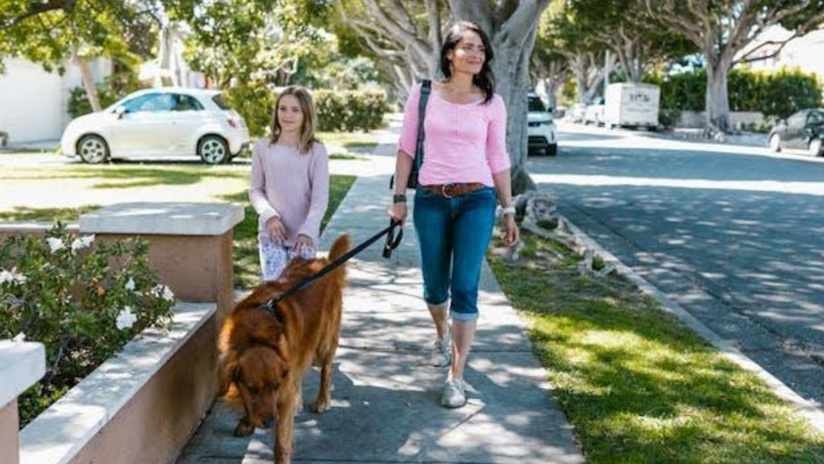 Adult, child, and dog on a street