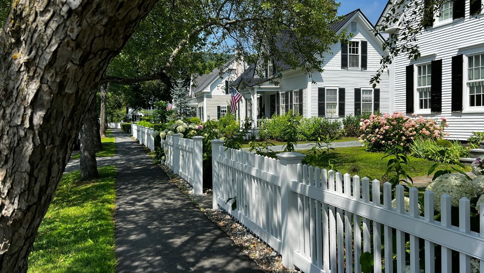 Vinyl fencing vs wood fences what looks better lasts longer and costs less to live with