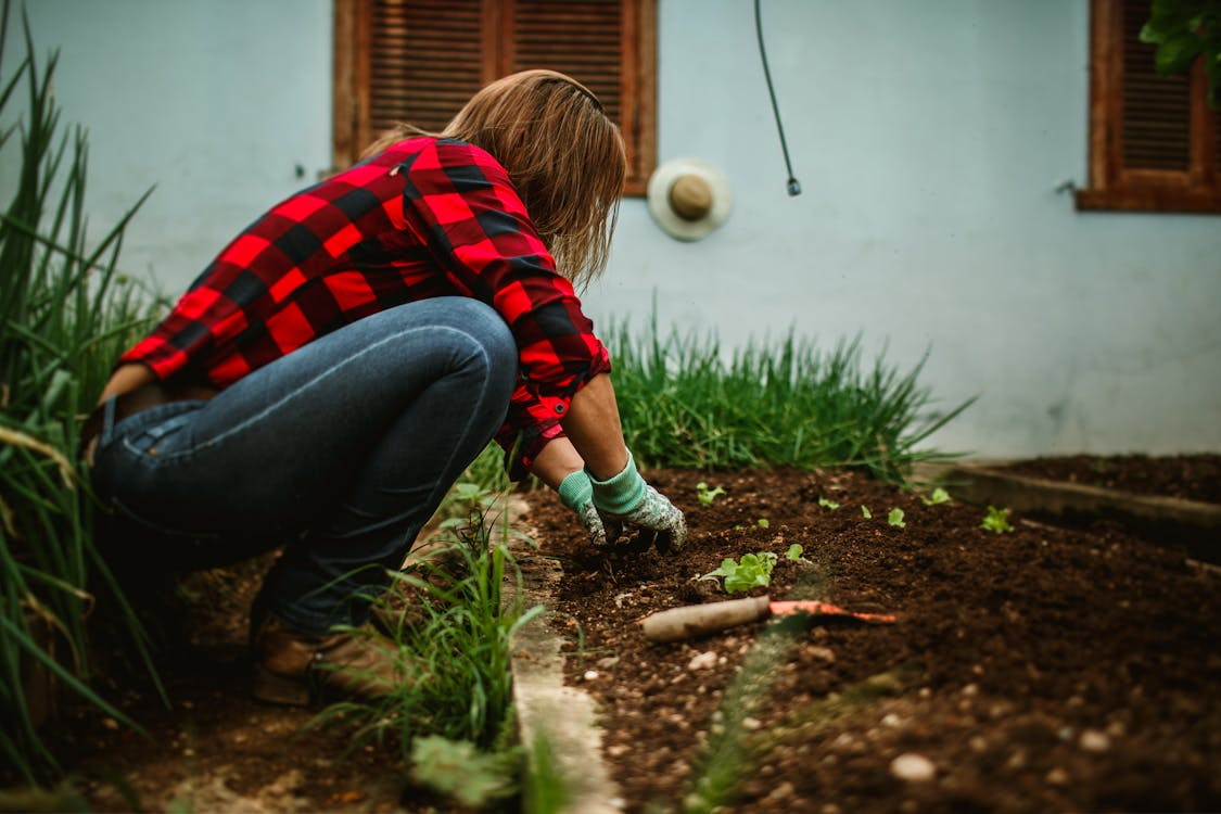 Outdoor hobbies you can start right from your backyard that are more exciting than you think