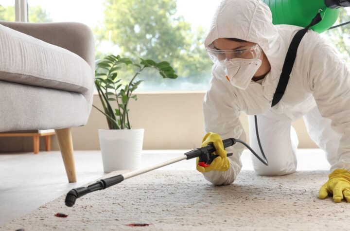 pest control pricing, pest control quotes, fair pest control cost, pest removal pricing, pest control unexpected charges, home pest control costs, local pest control prices, pest control price guide, residential pest control rates, pest control cost estimate