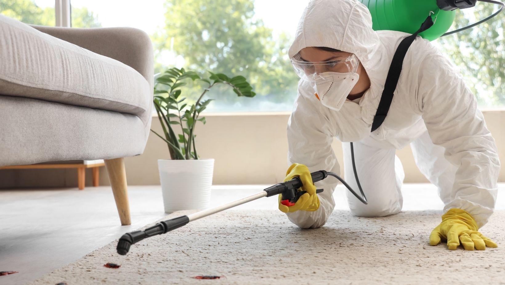 pest control pricing, pest control quotes, fair pest control cost, pest removal pricing, pest control unexpected charges, home pest control costs, local pest control prices, pest control price guide, residential pest control rates, pest control cost estimate
