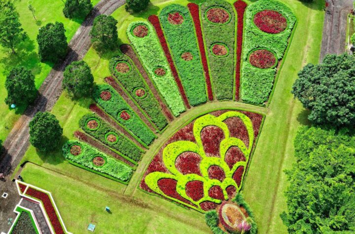 high-end garden design, professional garden design, expert landscape design, luxury garden ideas, garden design services, upscale outdoor space, garden styling professionals, bespoke garden solutions, landscape architecture experts, garden design consultancy
